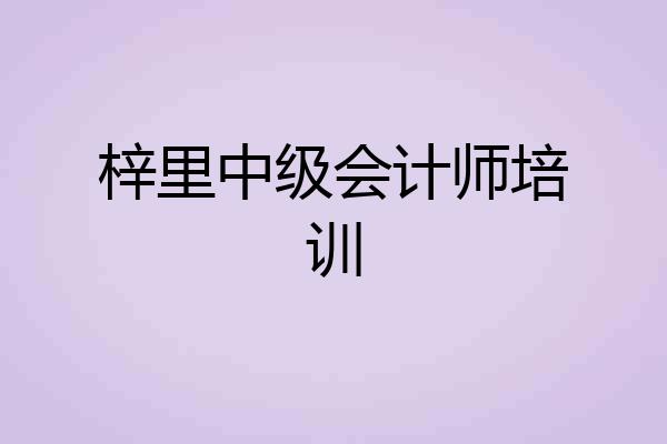 梓里中级会计师培训
