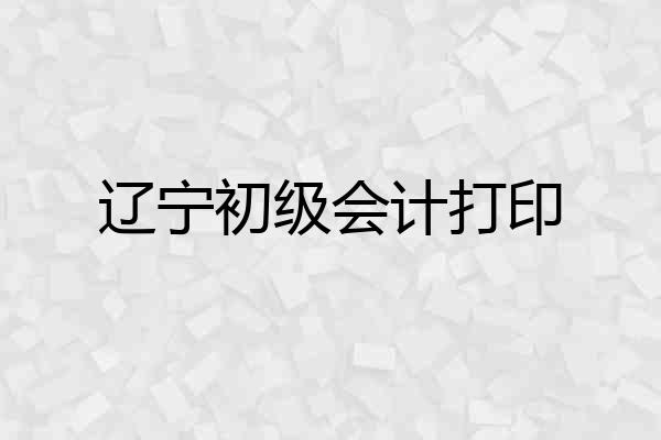 辽宁初级会计打印