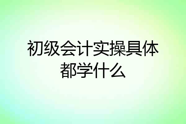 初级会计实操具体都学什么