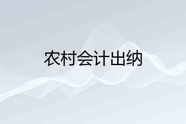 农村会计出纳