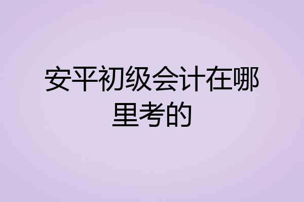 安平初级会计在哪里考的