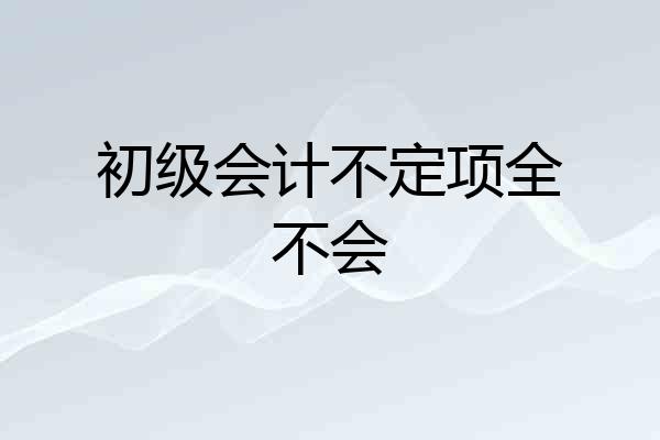 初级会计不定项全不会