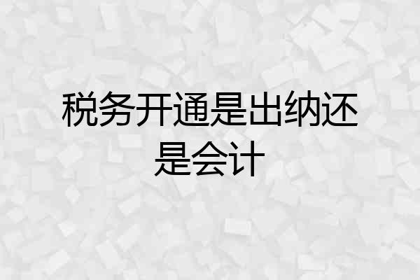 税务开通是出纳还是会计