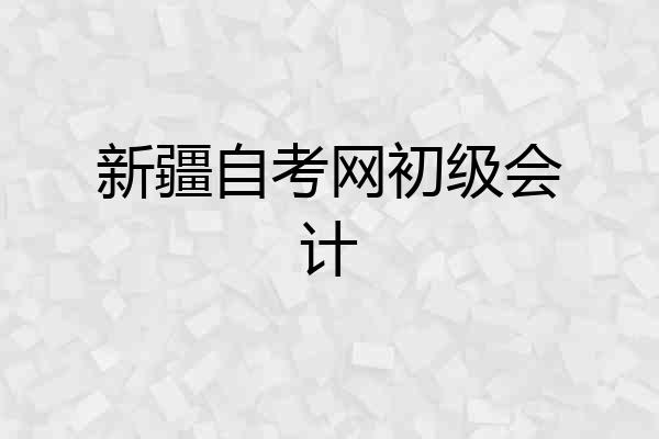 新疆自考网初级会计