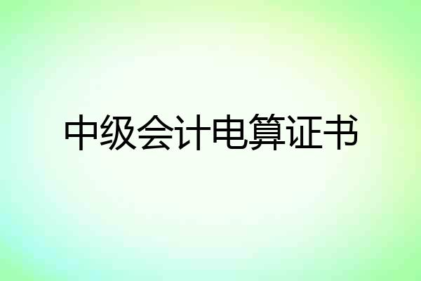 中级会计电算证书