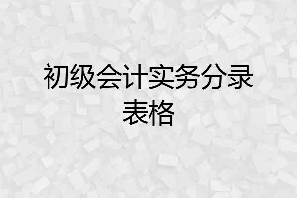初级会计实务分录表格