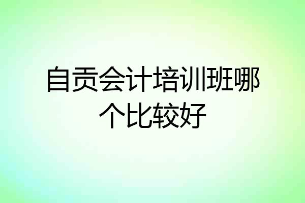 自贡会计培训班哪个比较好