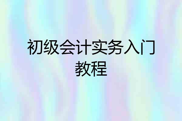 初级会计实务入门教程