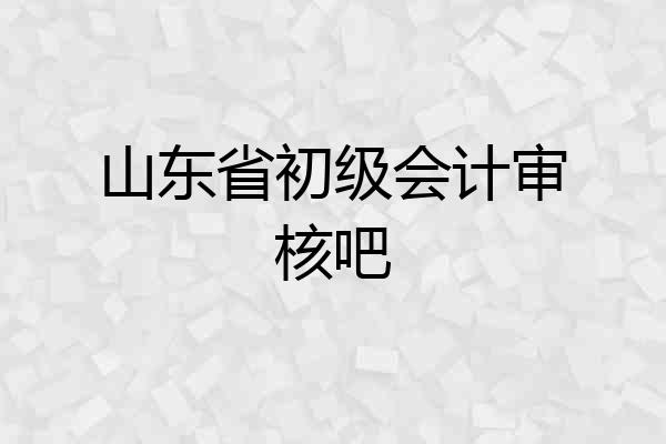 山东省初级会计审核吧