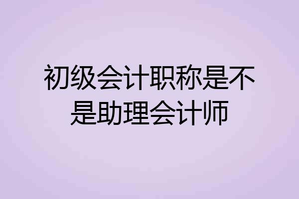 初级会计职称是不是助理会计师