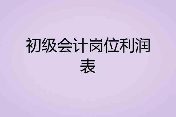 初级会计岗位利润表