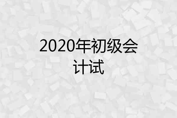 2020年初级会计试
