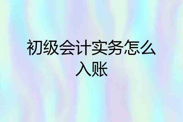 初级会计实务怎么入账