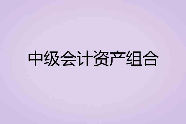 中级会计资产组合