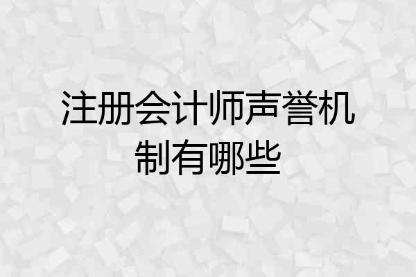 注册会计师声誉机制有哪些