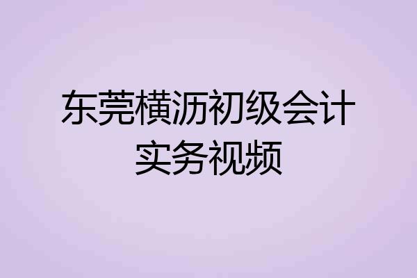 东莞横沥初级会计实务视频