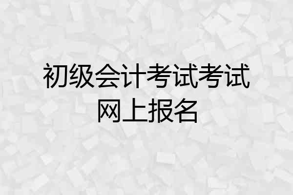初级会计考试考试网上报名
