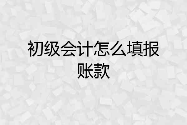 初级会计怎么填报账款