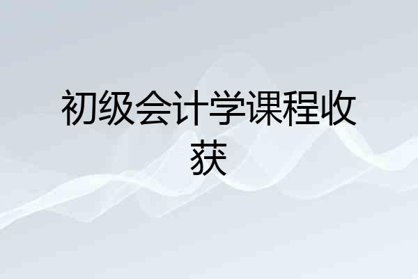 初级会计学课程收获
