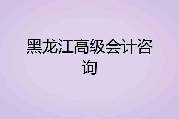 黑龙江高级会计咨询