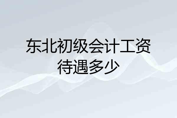 东北初级会计工资待遇多少