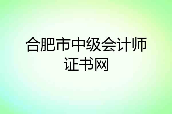 合肥市中级会计师证书网