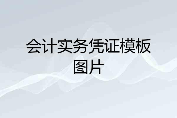 会计实务凭证模板图片