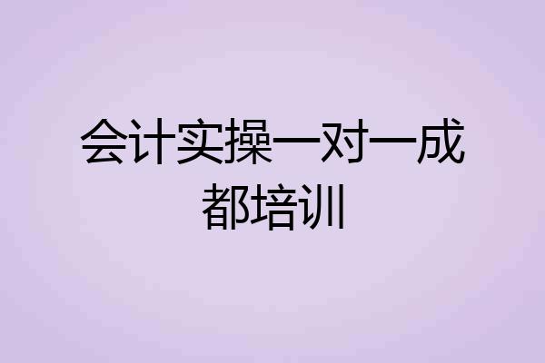 会计实操一对一成都培训