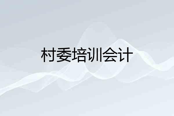 村委培训会计