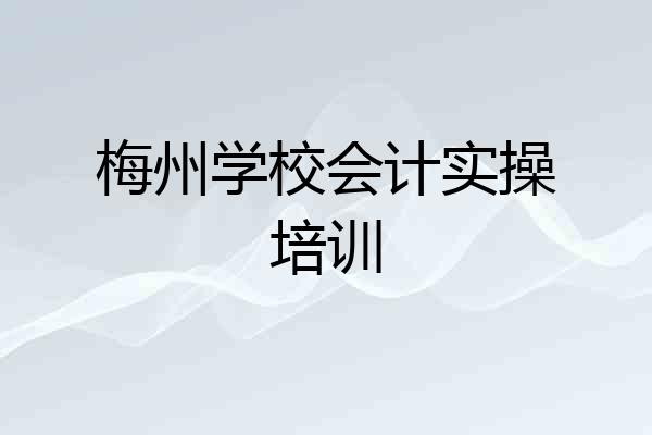 梅州学校会计实操培训