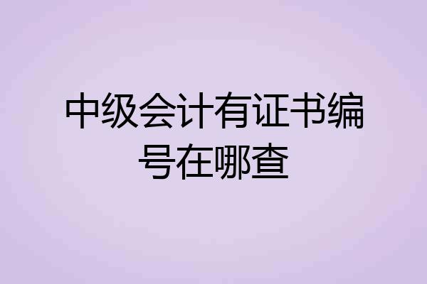 中级会计有证书编号在哪查
