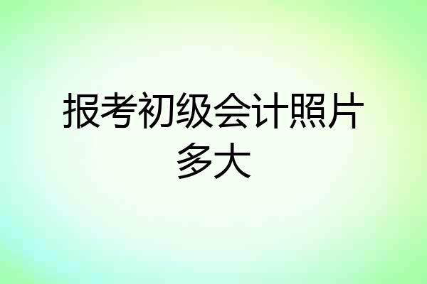 报考初级会计照片多大