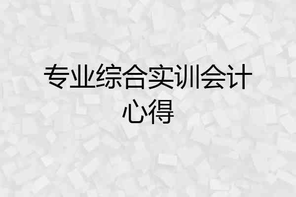 专业综合实训会计心得
