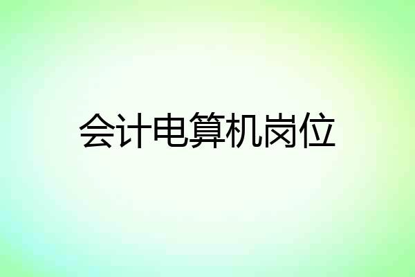 会计电算机岗位