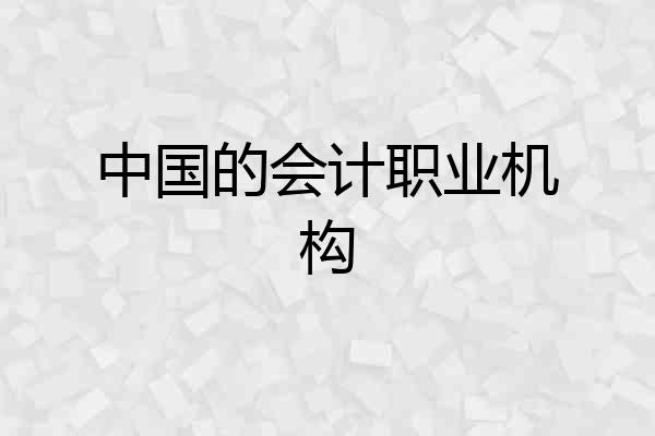 中国的会计职业机构