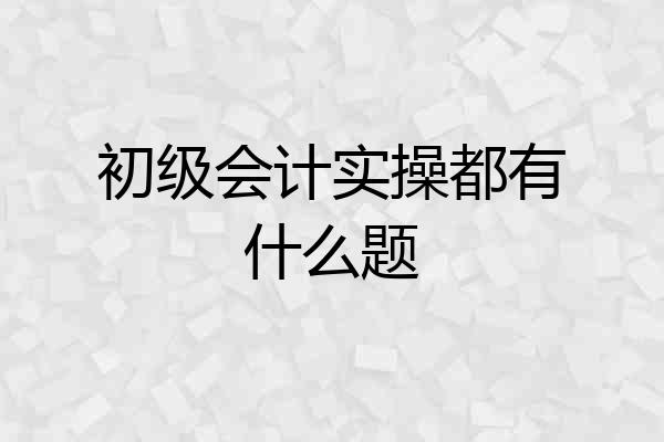 初级会计实操都有什么题