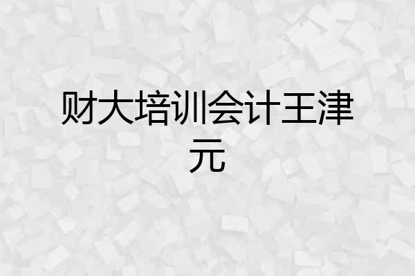 财大培训会计王津元