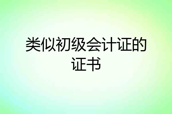 类似初级会计证的证书