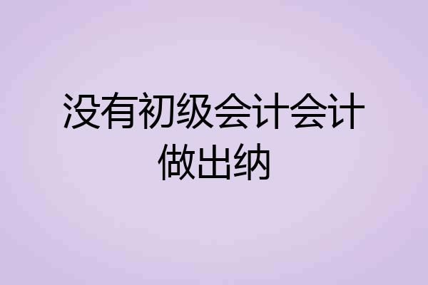 没有初级会计会计做出纳