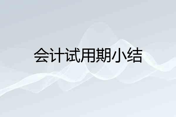 会计试用期小结