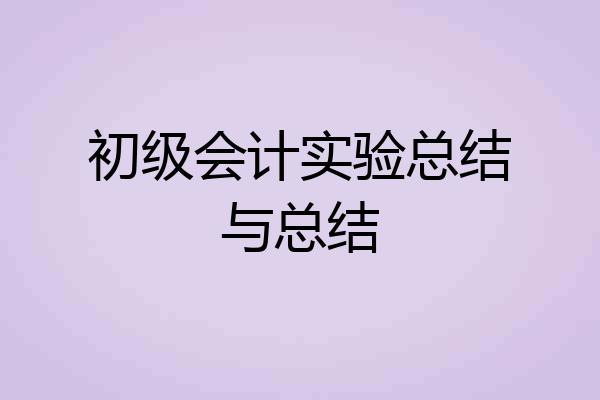 初级会计实验总结与总结