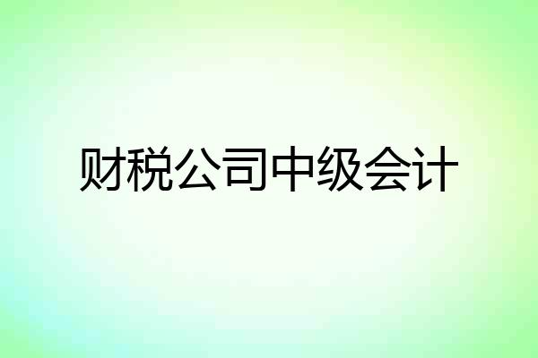 财税公司中级会计