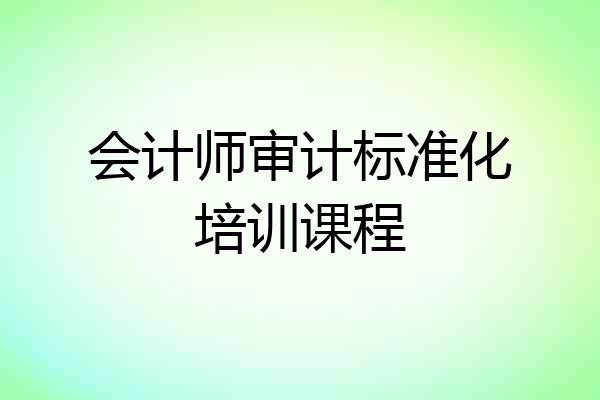会计师审计标准化培训课程