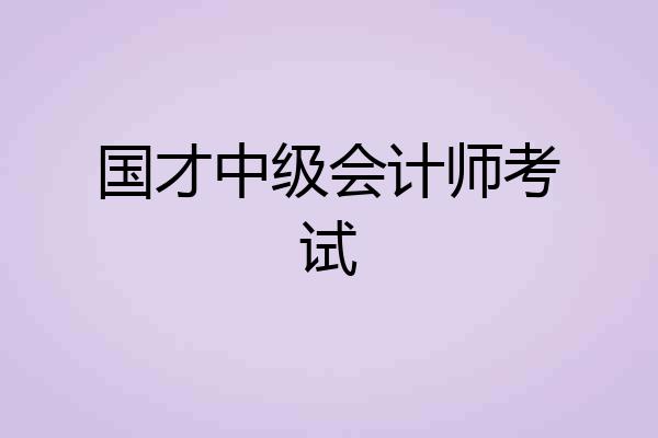 国才中级会计师考试