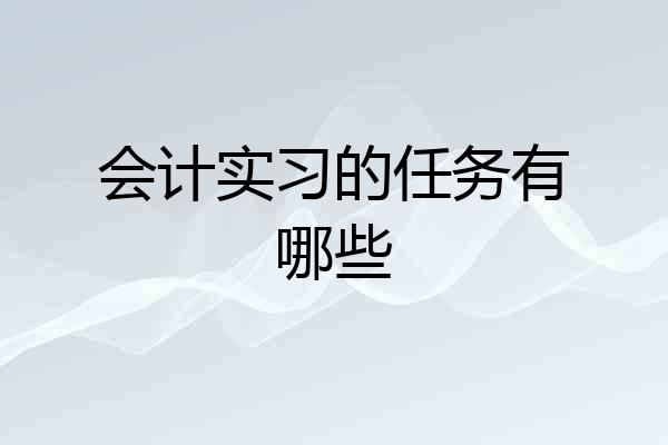 会计实习的任务有哪些