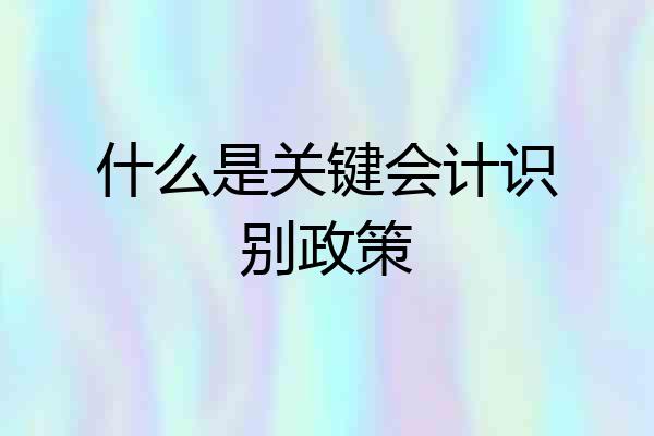 什么是关键会计识别政策