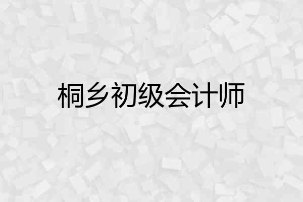 桐乡初级会计师