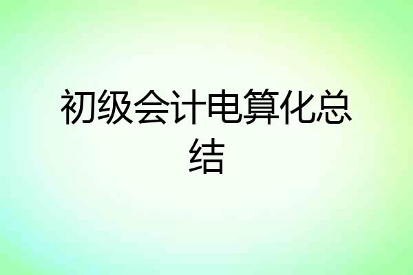 初级会计电算化总结