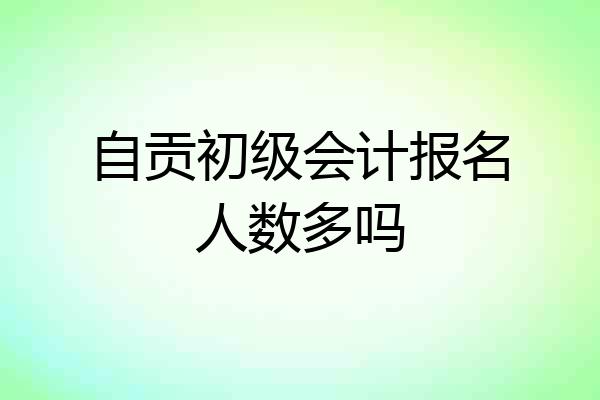 自贡初级会计报名人数多吗