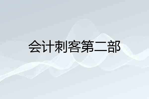会计刺客第二部